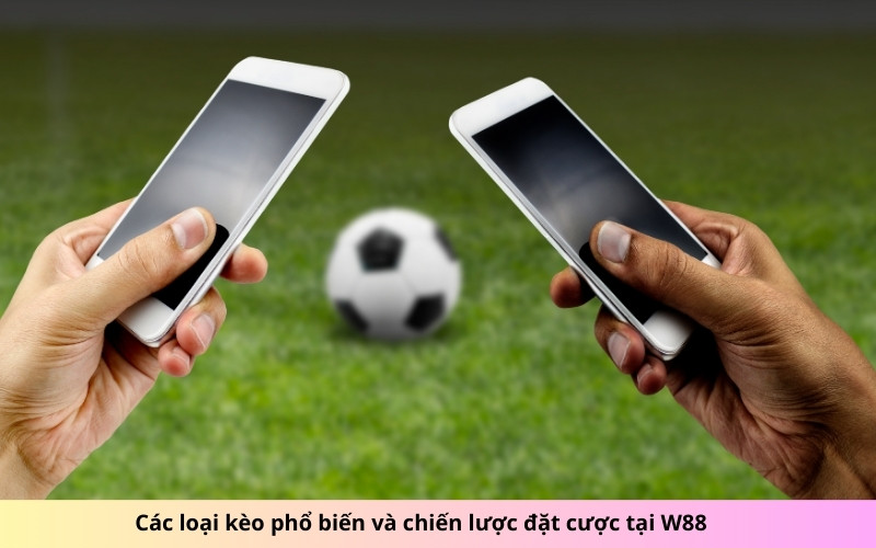 Các loại kèo phổ biến và chiến lược đặt cược tại W88