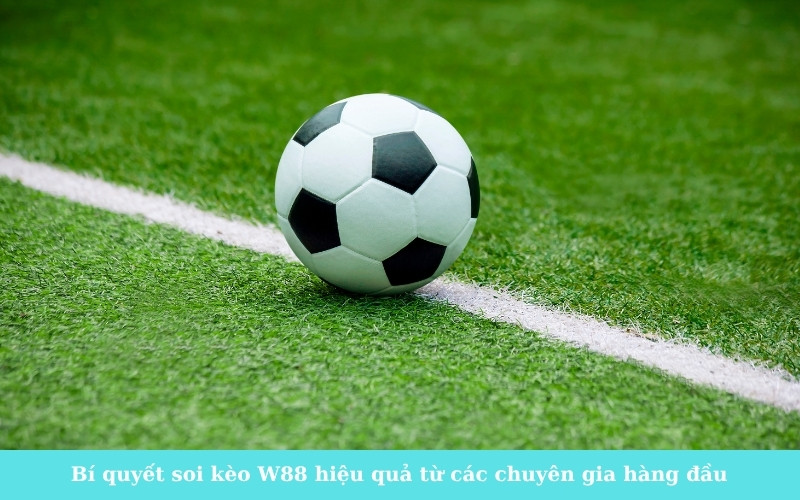 Bí quyết soi kèo W88 hiệu quả từ các chuyên gia hàng đầu