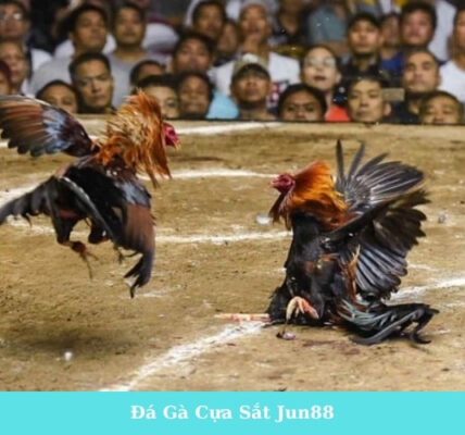 Đá Gà Cựa Sắt Jun88