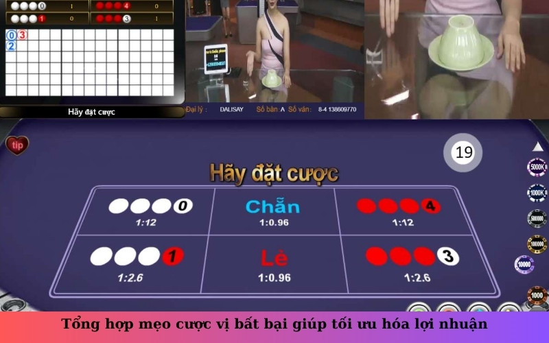 Tổng hợp mẹo cược vị bất bại giúp tối ưu hóa lợi nhuận
