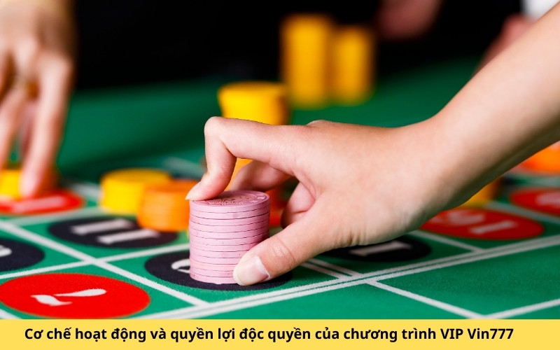 Cơ chế hoạt động và quyền lợi độc quyền của chương trình VIP Vin777